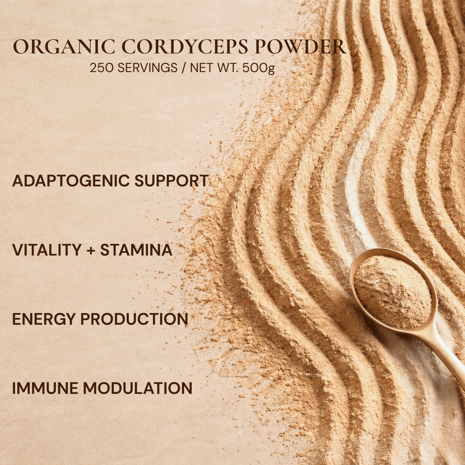 Organic Cordyceps Mushroom Powder — Foodservice 500g - Vegan America