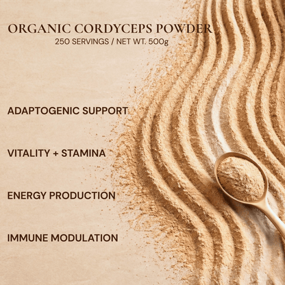 Organic Cordyceps Mushroom Powder — Foodservice 500g - Vegan America