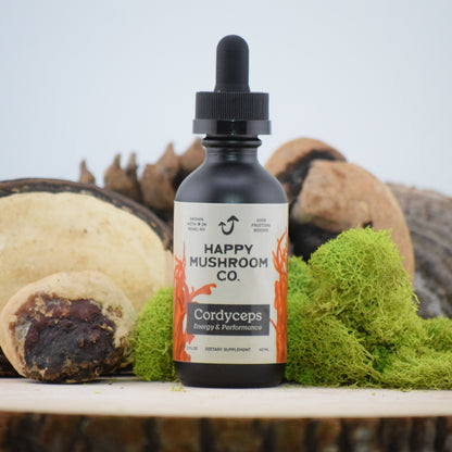 Cordyceps Tincture