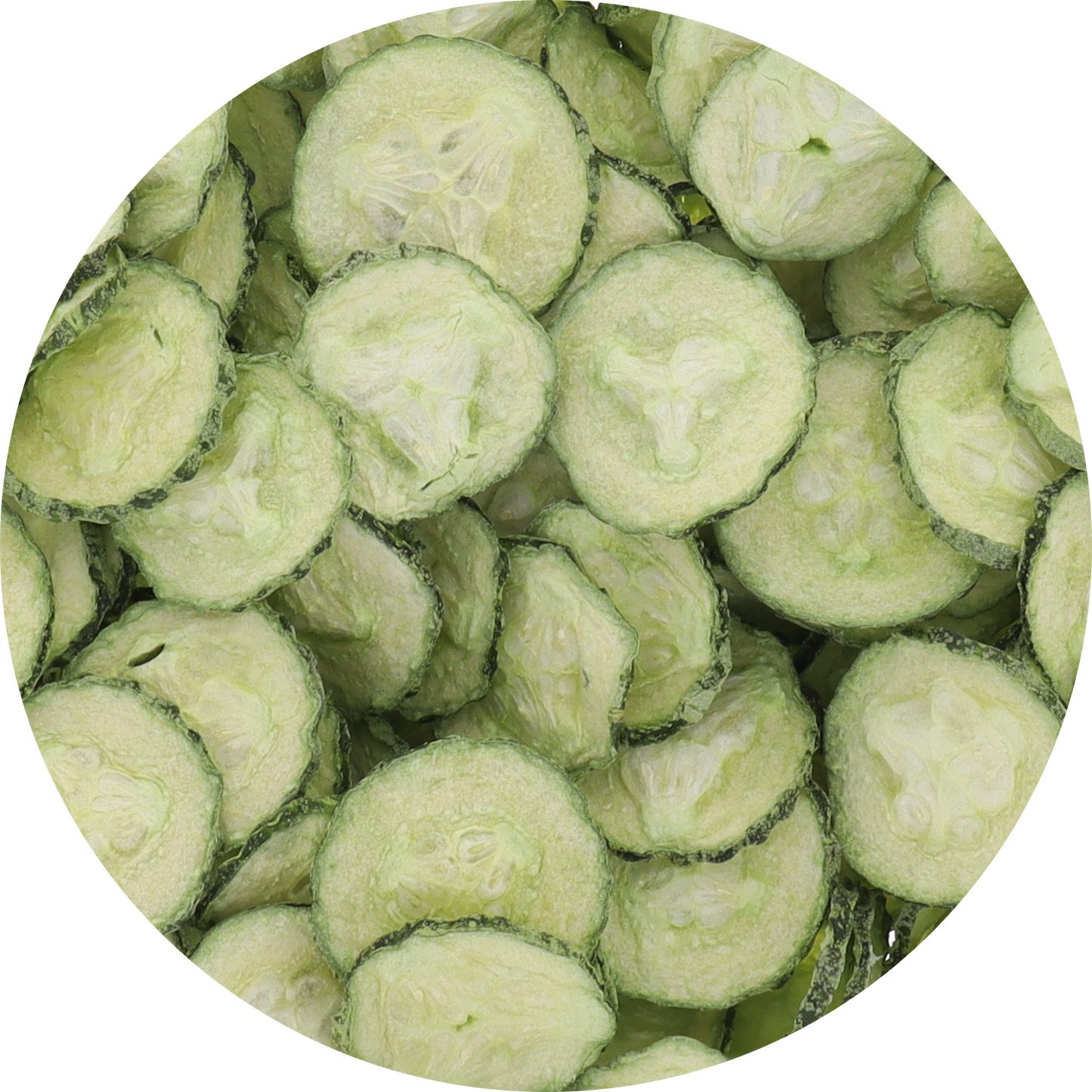 Freeze Dried Cucumber Chips
