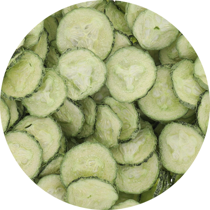 Freeze Dried Cucumber Chips