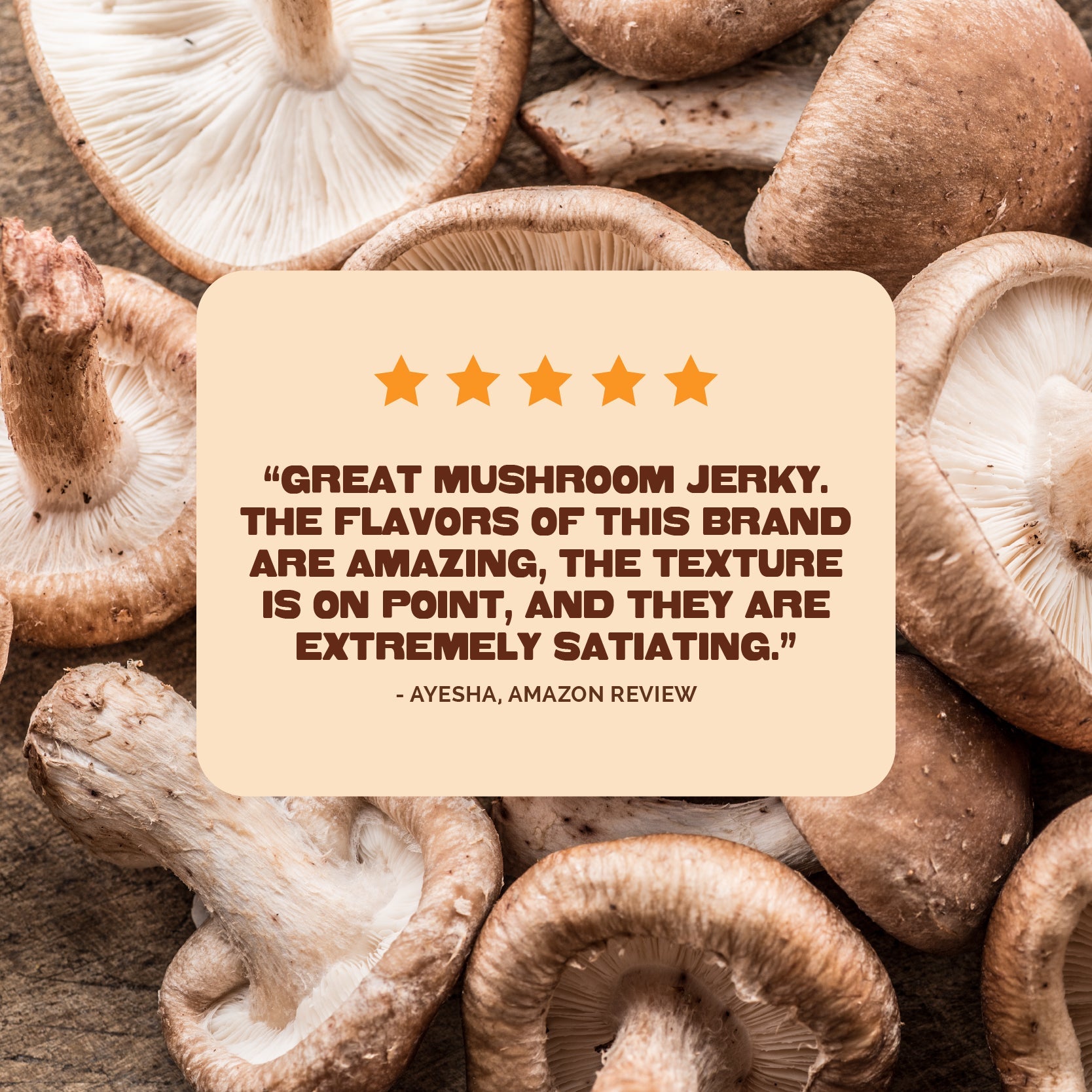 Teriyaki Mushroom Jerky - Vegan America