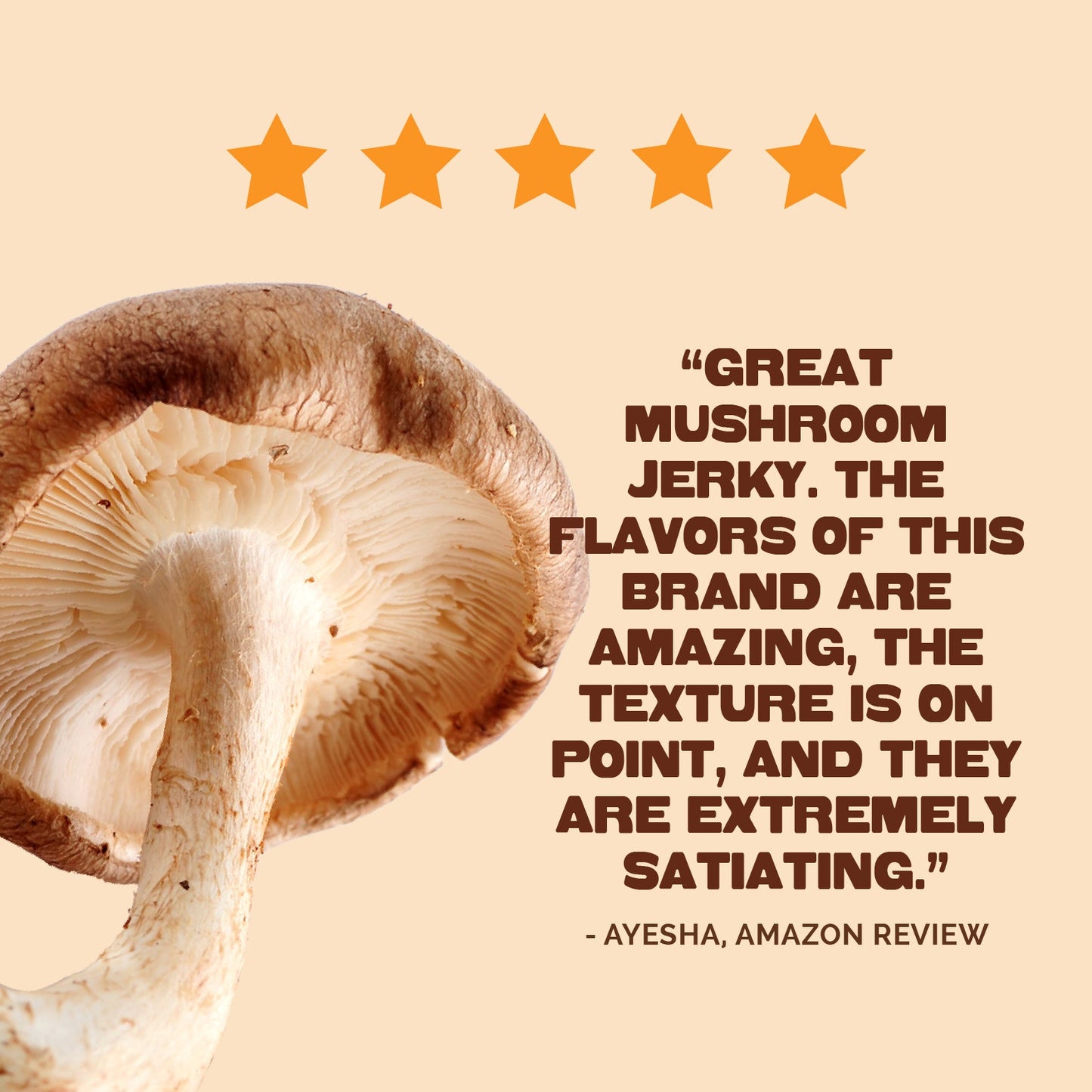 Pan's Mushroom Jerky - The Ultimate Flavor Pack - Vegan America