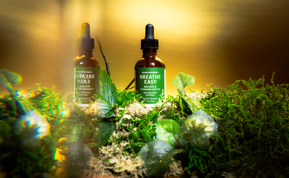 BREATHE EASY | Mullein & Stinging Nettle herbal tincture with organic & wildcrafted ingredients