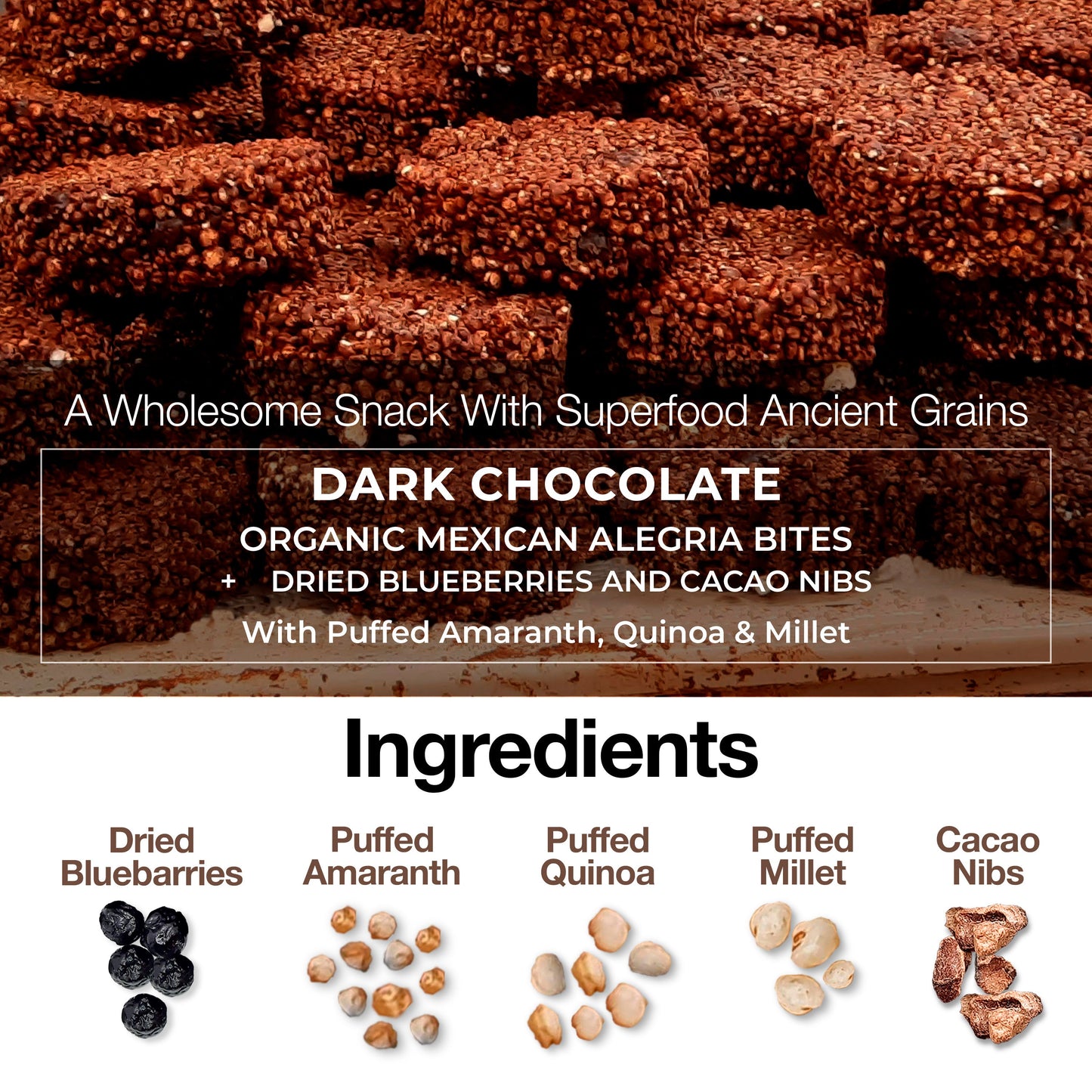 NEW Dark Chocolate Alegria Bites w/ Blueberries + Cacao Nibs (Wholesale)
