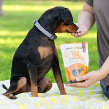 Better BBQ Chick'n Plant-Based Dog Treats