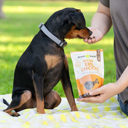 Better BBQ Chick'n Plant-Based Dog Treats