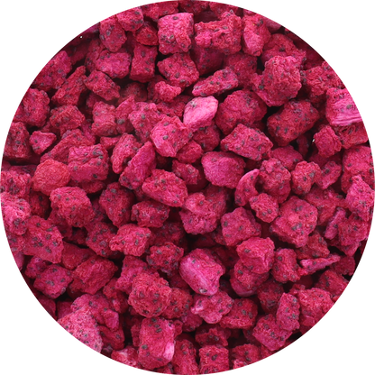 Freeze Dried Organic Dragon Fruit