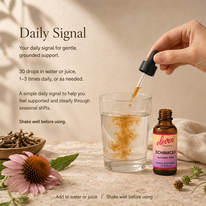 Echinacea Root Tincture | Alcohol-Free | 2 oz
