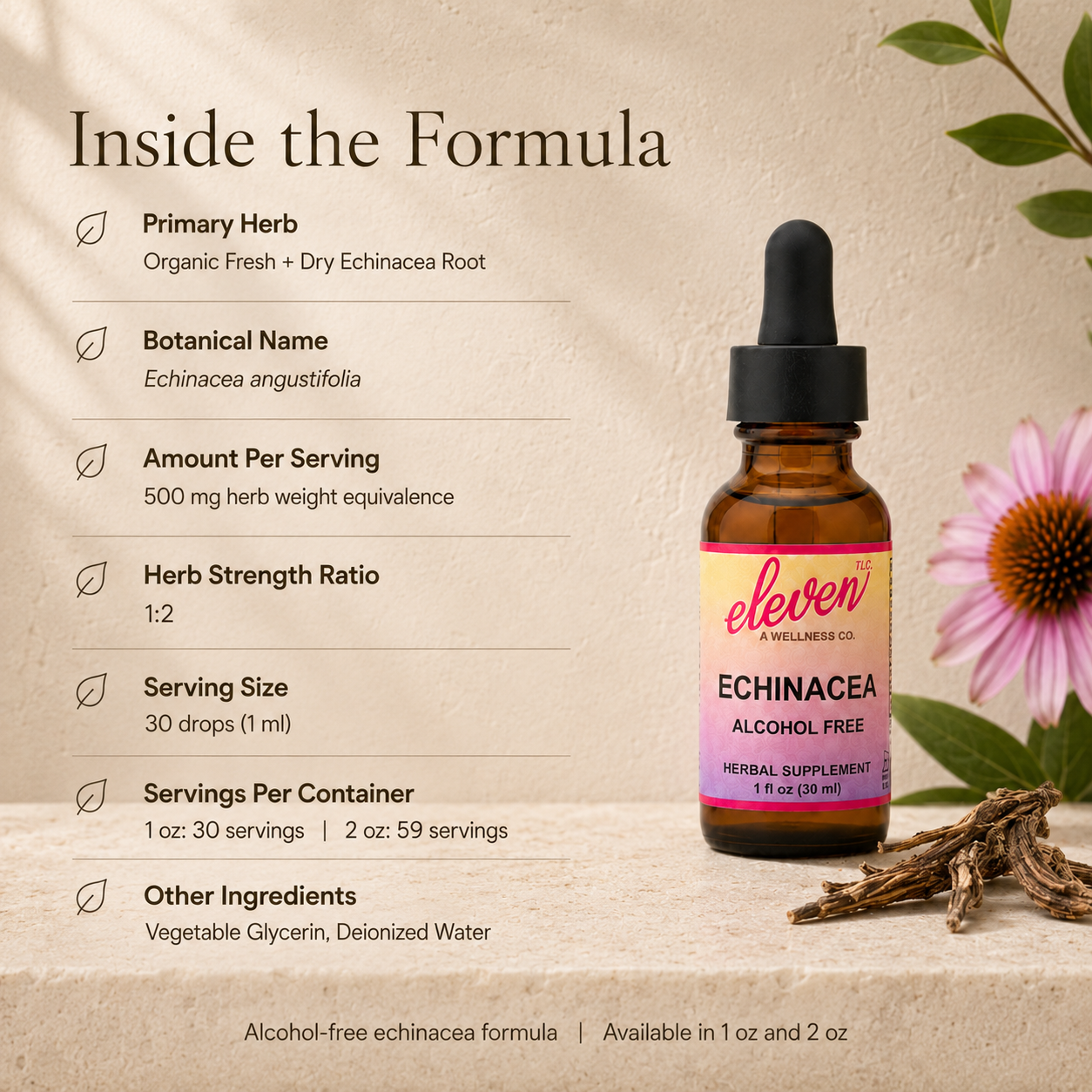 Echinacea Root Tincture | Alcohol-Free | 2 oz