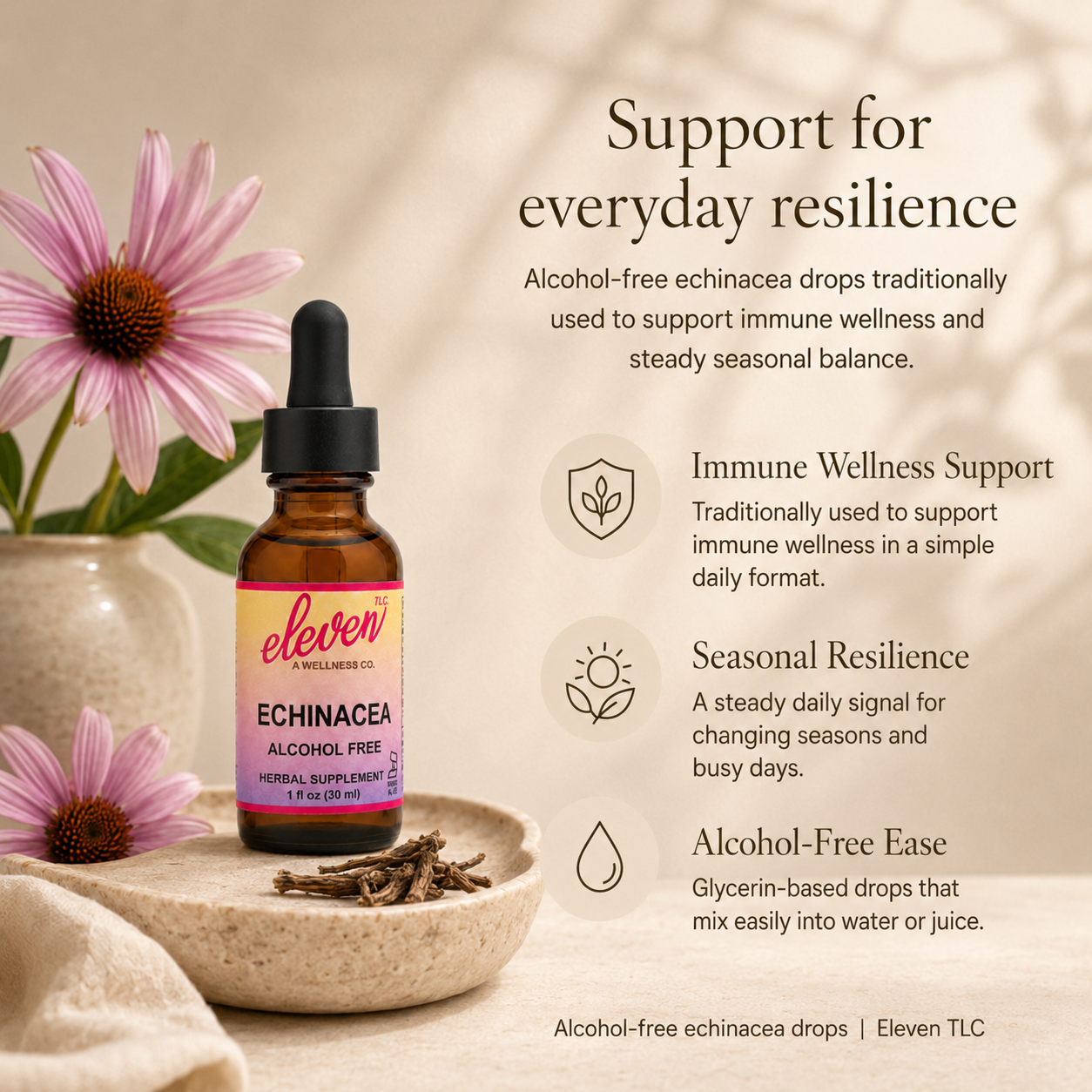 Echinacea Root Tincture | Alcohol-Free | 2 oz