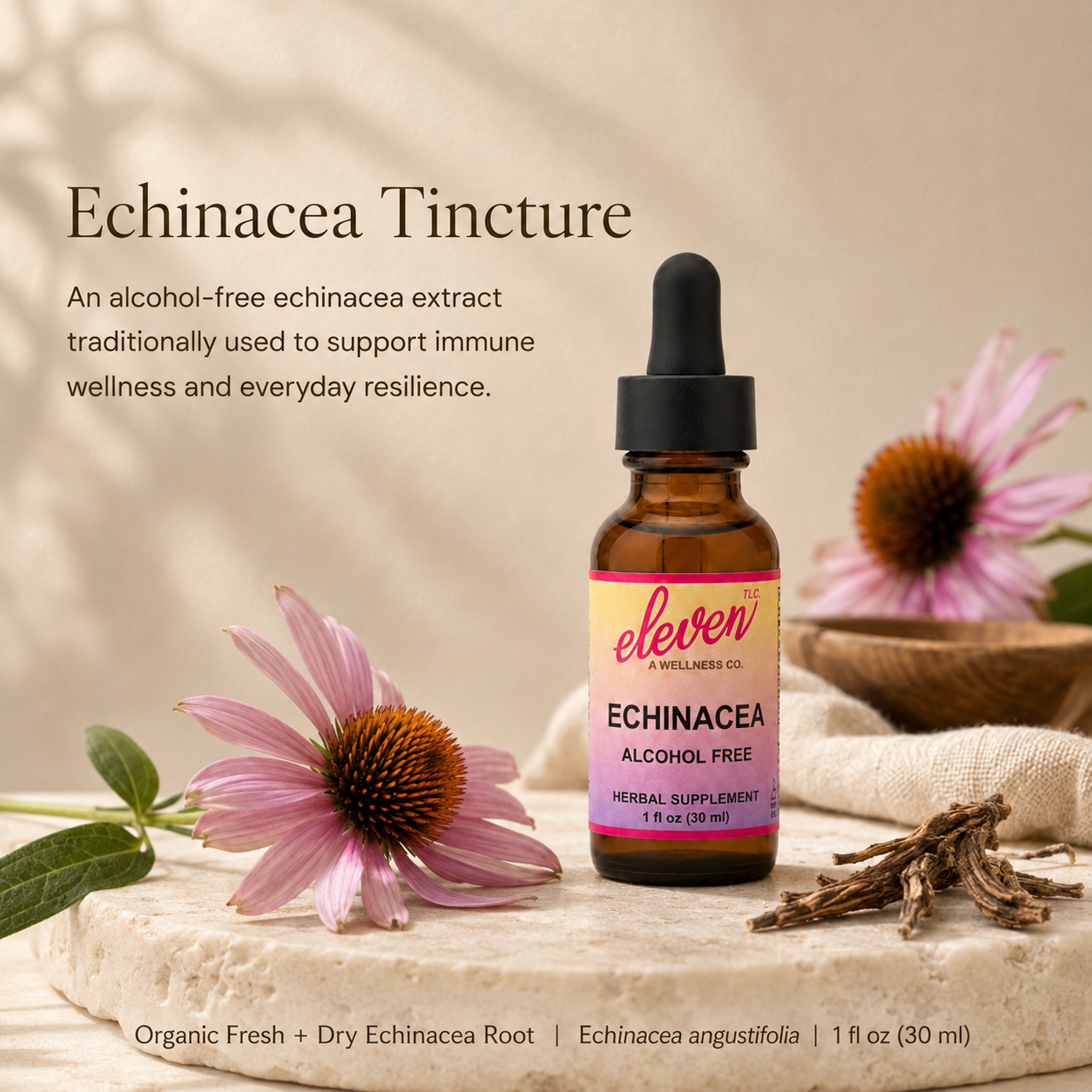 Echinacea Root Tincture | Alcohol-Free | 2 oz