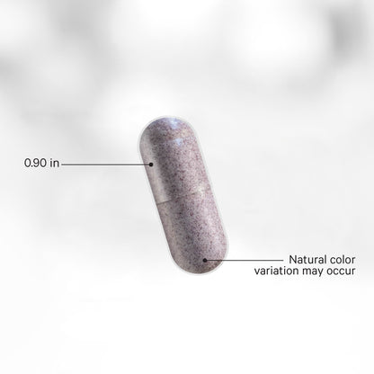 Organic Black Elderberry Vitamins Capsules