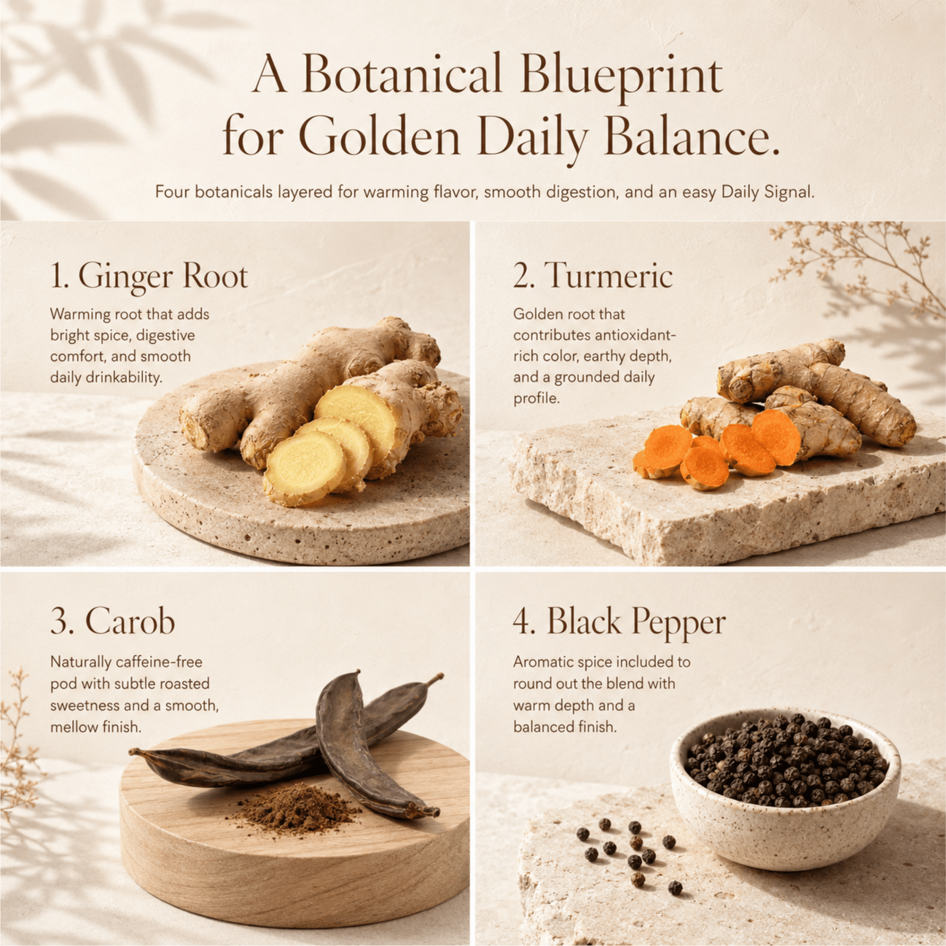 Organic Ginger Turmeric Spiced Golden Drink Mix + Instant Latte Powder - Vegan America