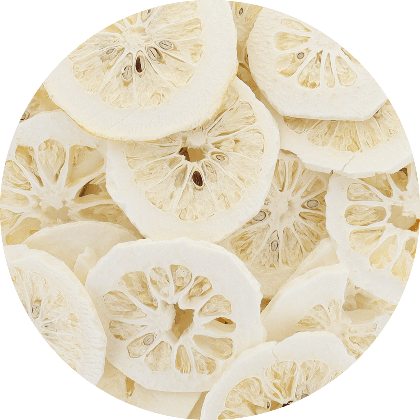 Freeze Dried Etrog Slices - Vegan America