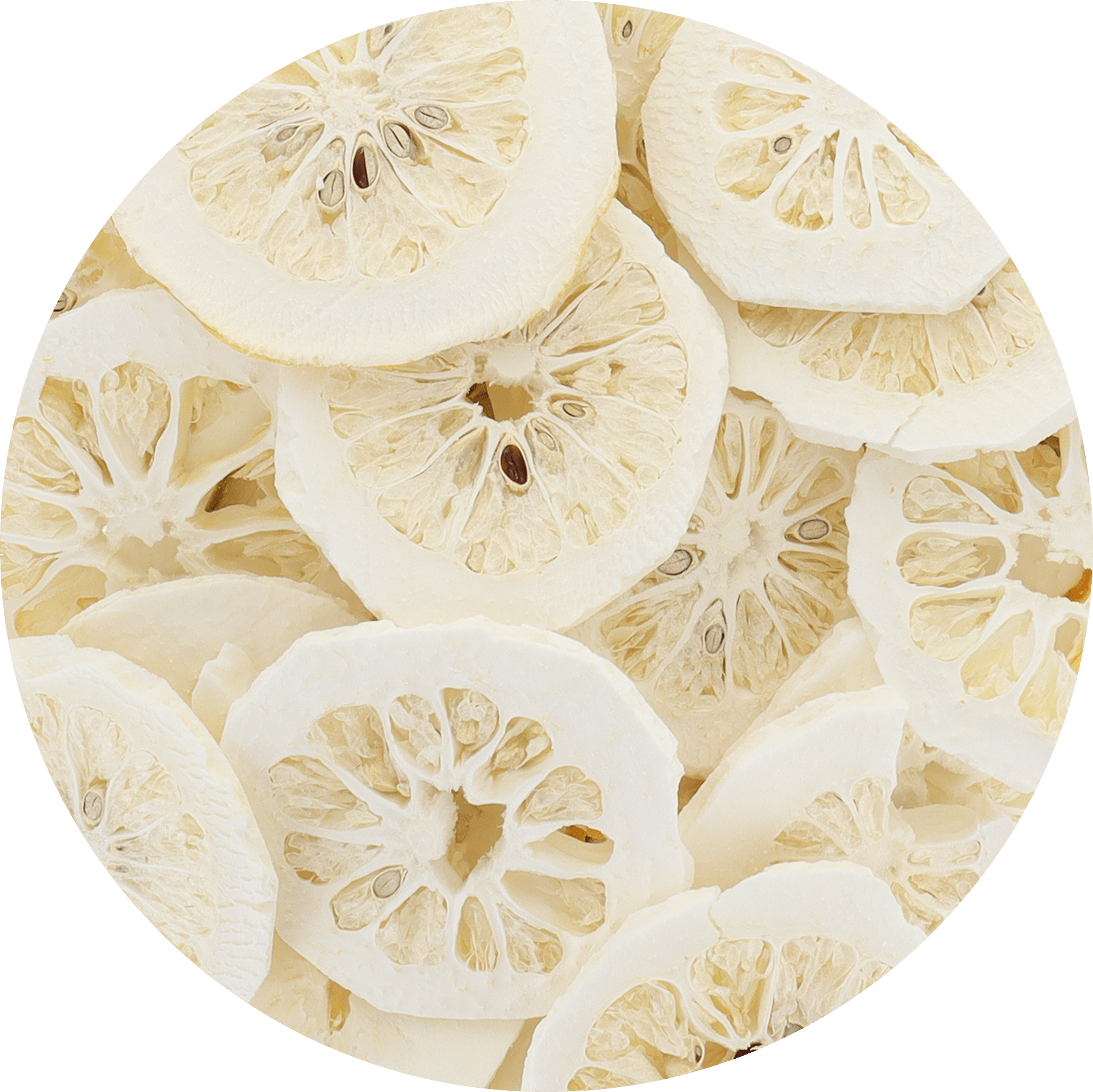 Freeze Dried Etrog Slices - Vegan America