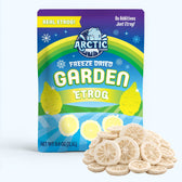 Freeze Dried Etrog Slices - Vegan America