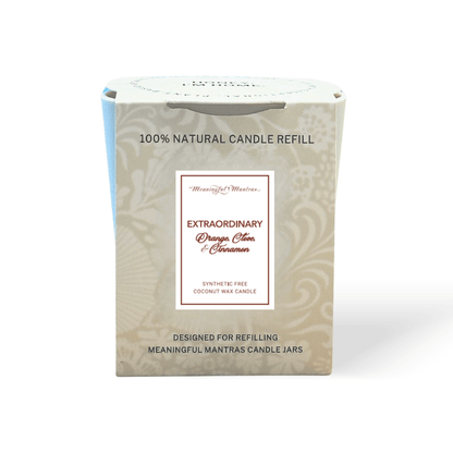 Extraordinary Cinnamon Spice 8oz Natural Candle Kaia Collection Refill - Vegan America