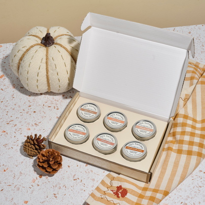 100% Non-Toxic Fall Starter Kit