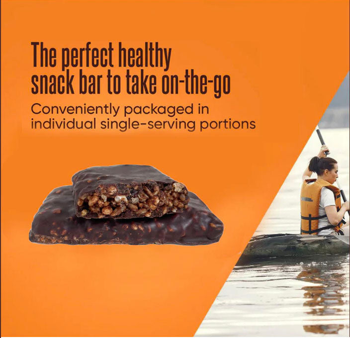Fitness Vegan Plant Based Protein Nutritional Bars, Sugar-Free
