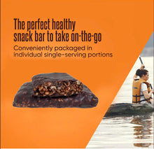 Fitness Vegan Plant Based Protein Nutritional Bars, Sugar-Free