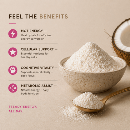 Organic Coconut Milk Powder: Superfood | 500g (250 Servings) - Vegan America