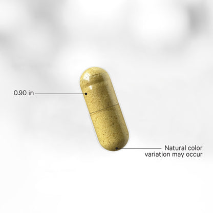 Fermented Digestive Enzymes