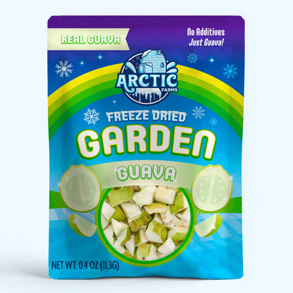 Freeze Dried Guava