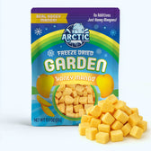 Freeze Dried Organic Honey Mango - Vegan America