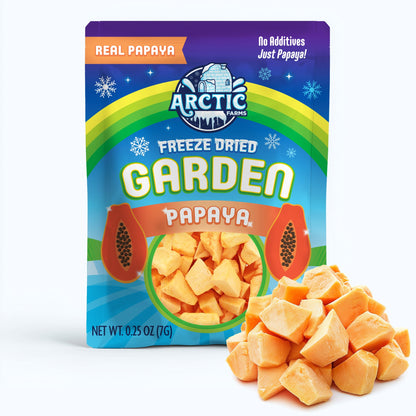 Freeze Dried Papaya