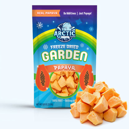 Freeze Dried Papaya