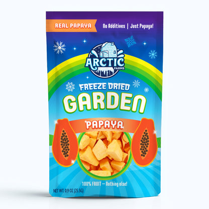 Freeze Dried Papaya