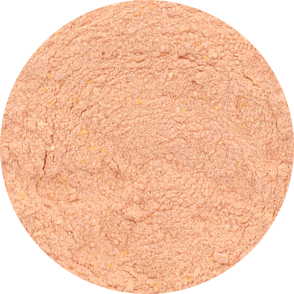 Freeze Dried Tomato Powder - Vegan America