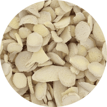 Freeze Dried Ginger Slices - Vegan America
