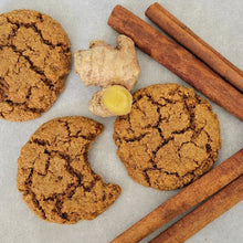 Gluten - Free & Plant - Based Gingersnap Cookie Baking Mix **Limited Edition** - Vegan America