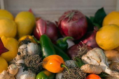 VEGAN Fire cider | TRAVEL MINI | (superfood infused daily wellness tonic) with local honey, wild plants, and organic ingredients