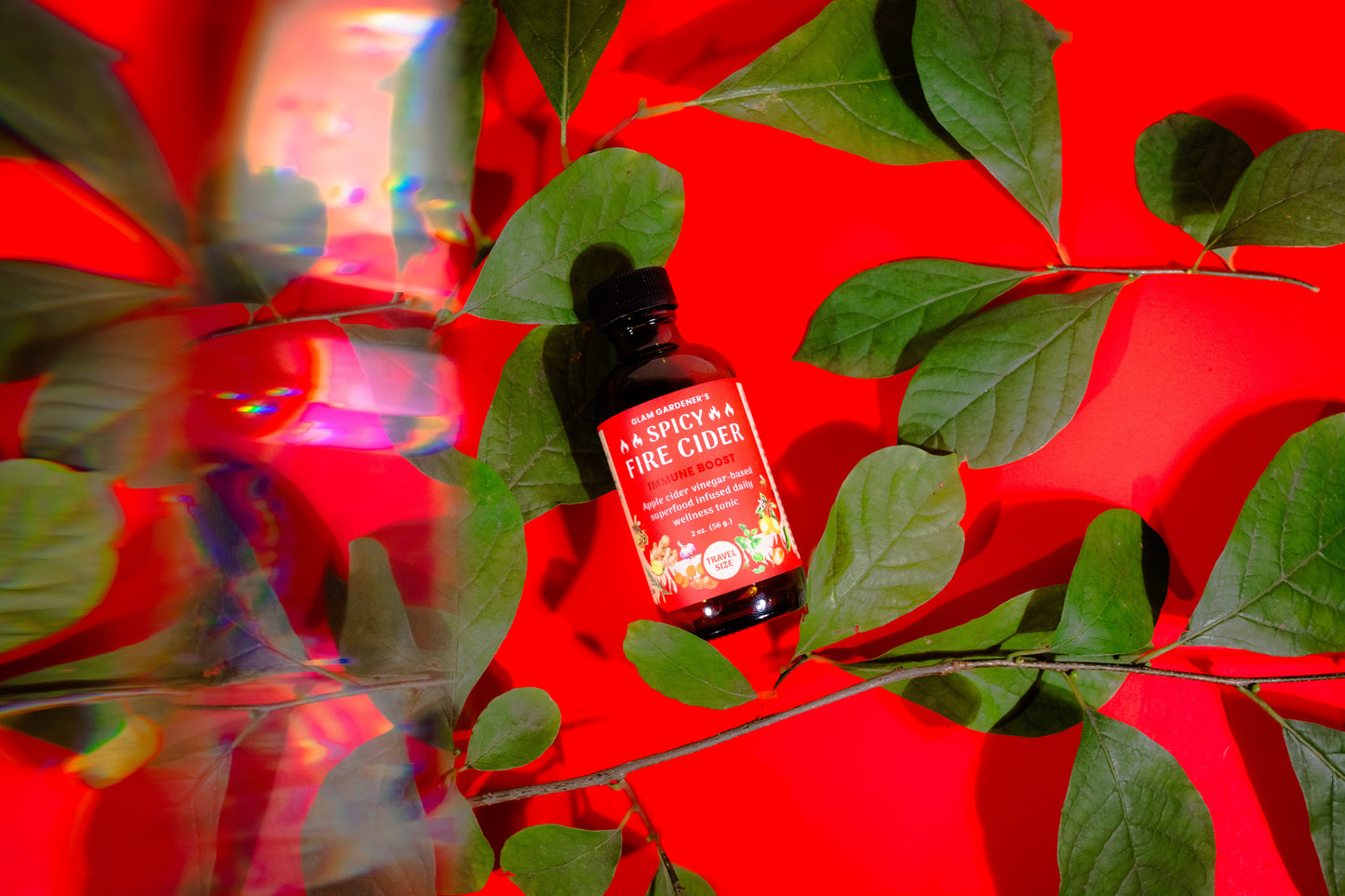 VEGAN Fire cider | TRAVEL MINI | (superfood infused daily wellness tonic) with local honey, wild plants, and organic ingredients