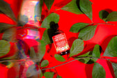 VEGAN Fire cider MINI • superfood infused daily wellness tonic • unsweetened, 100% plant-based with wildcrafted and organic ingredients - Vegan America