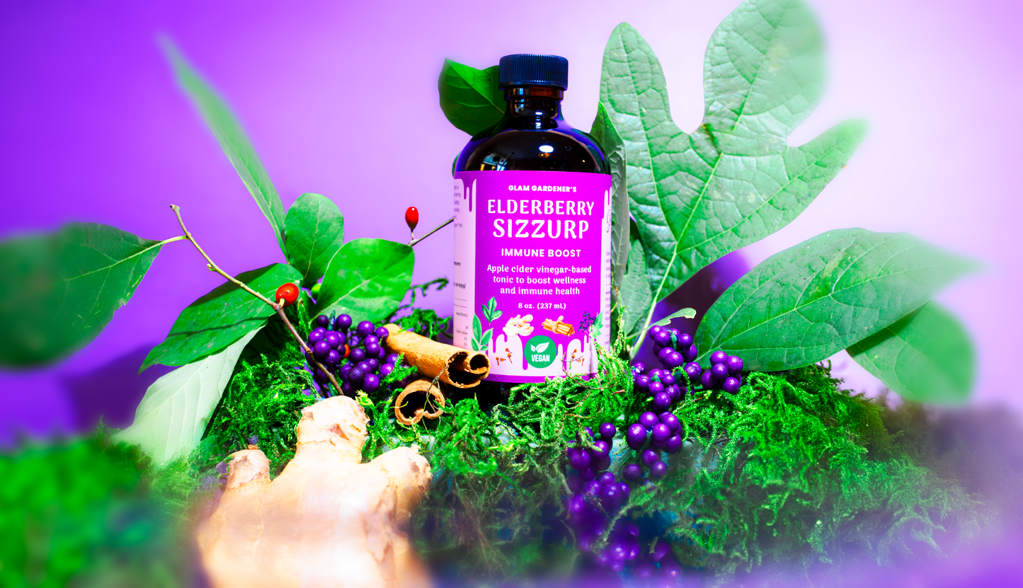 Wholesale case (12-pack) - Vegan Elderberry SizZurp