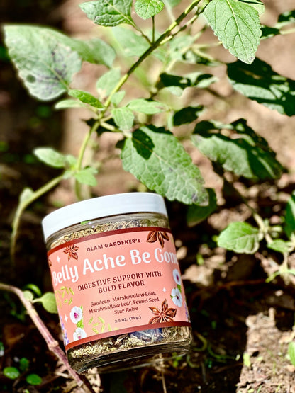 Belly Ache Be Gone •Looseleaf herbal tea for digestive support with Marshmallow Root, Skullcap, Star Anise & Fennel Seed - Vegan America