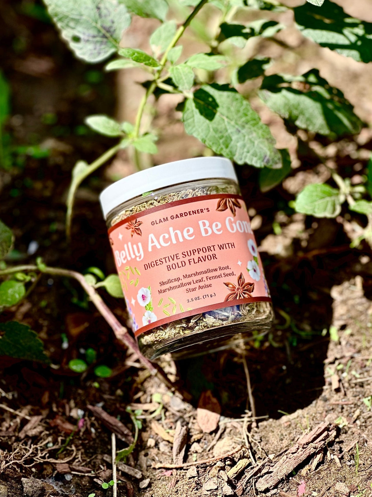 Belly Ache Be Gone •Looseleaf herbal tea for digestive support with Marshmallow Root, Skullcap, Star Anise & Fennel Seed - Vegan America