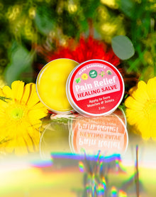 VEGAN Pain Relief • Healing Salve for sore muscles and joints • Arnica, Comfrey, Peppermint Essential Oil, and Plant - based Candelilla wax - Vegan America