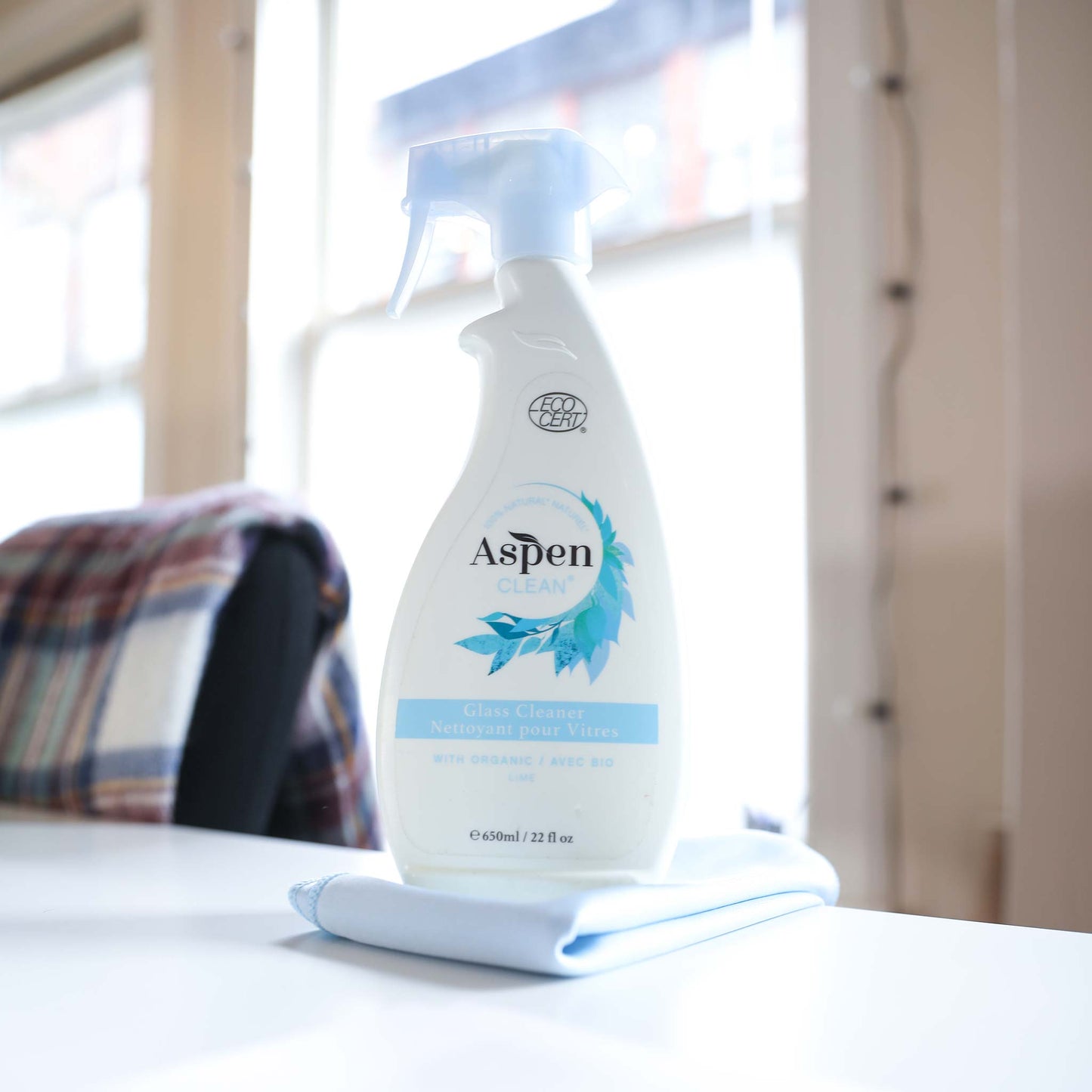 AspenClean Glass Cleaning Kit