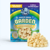 Freeze Dried Golden Honeydew Melon - Vegan America