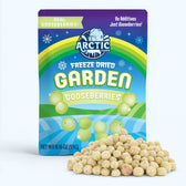Freeze Dried Organic Green Gooseberries - Vegan America