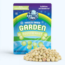 Freeze Dried Organic Green Gooseberries - Vegan America