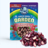 Freeze Dried Red Grapes - Vegan America