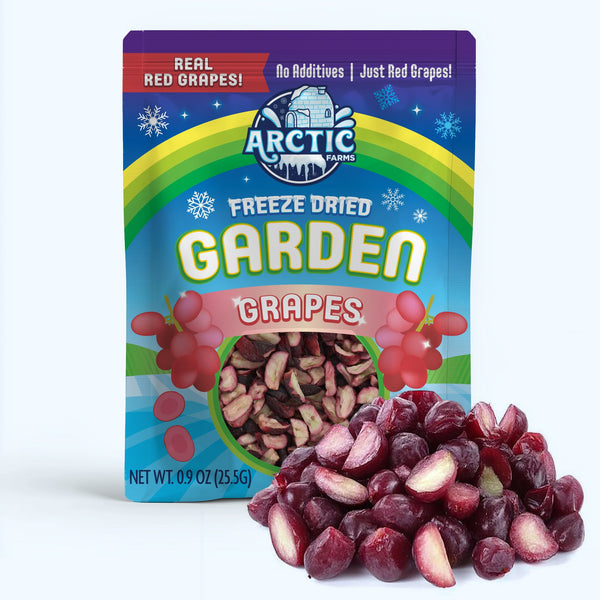 Freeze Dried Red Grapes - Vegan America