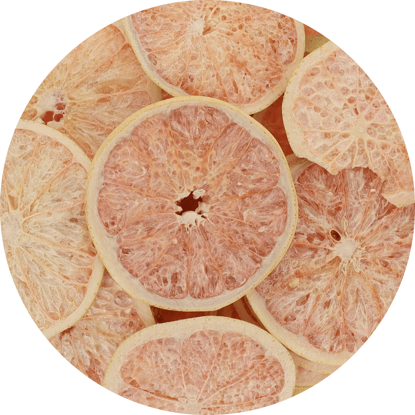 Freeze Dried Grapefruit Slices - Vegan America