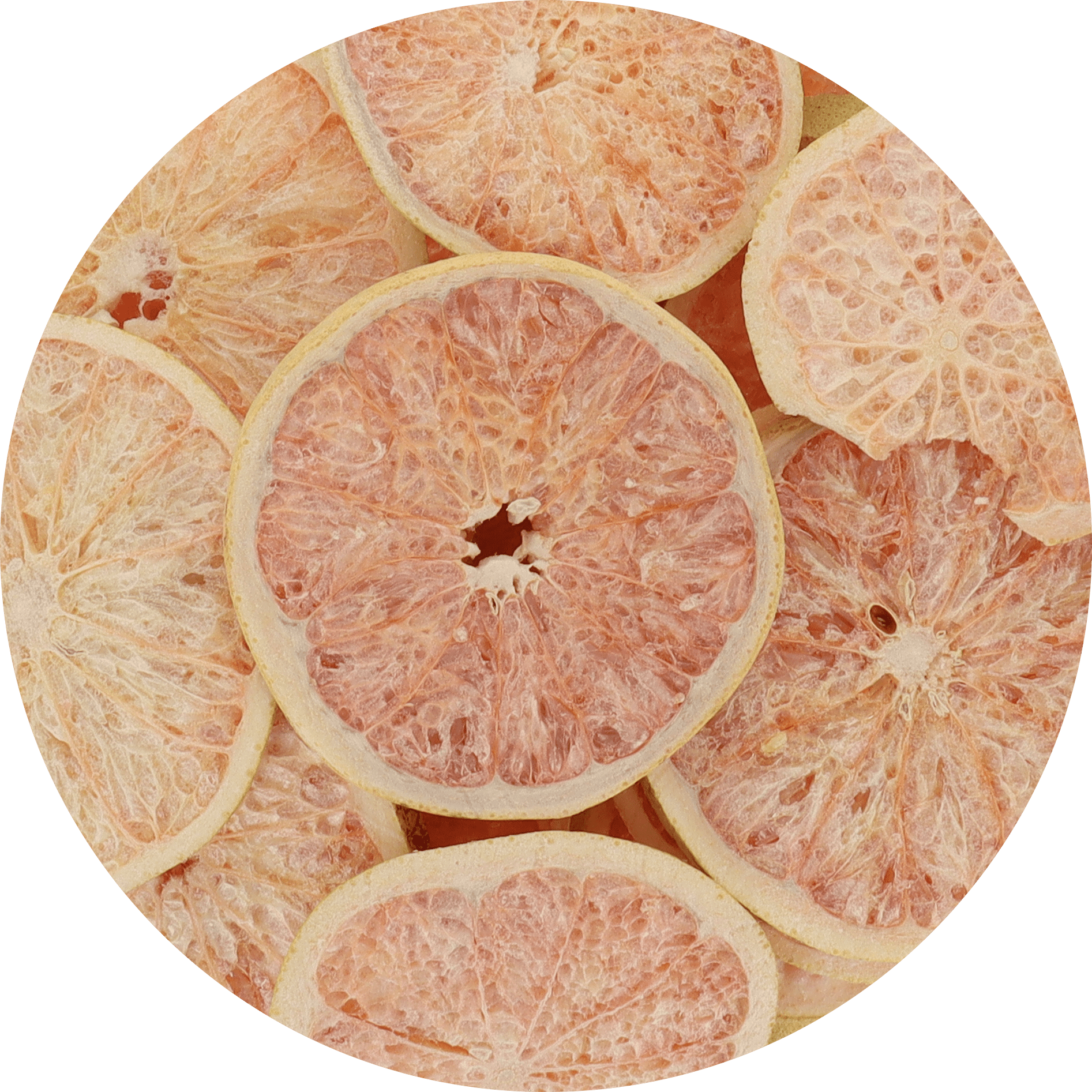 Freeze Dried Grapefruit Slices - Vegan America